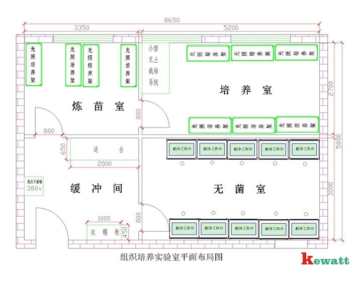 植物細(xì)胞實驗室平面設(shè)計圖