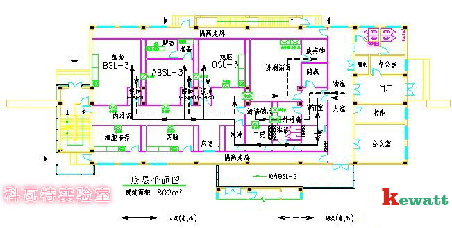 P3生物安全實(shí)驗(yàn)室設(shè)計(jì)圖