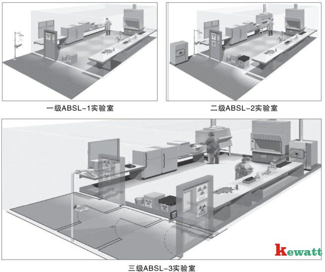 不同微生物實驗室的3D立體圖