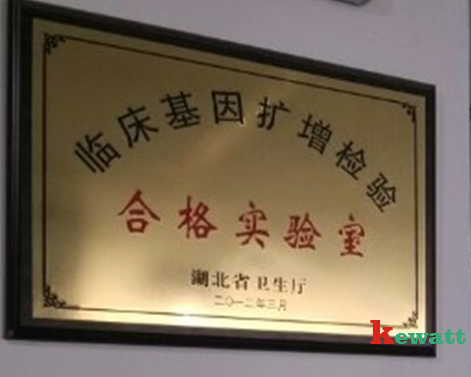 臨床基因擴(kuò)增實(shí)驗(yàn)室認(rèn)證資質(zhì)